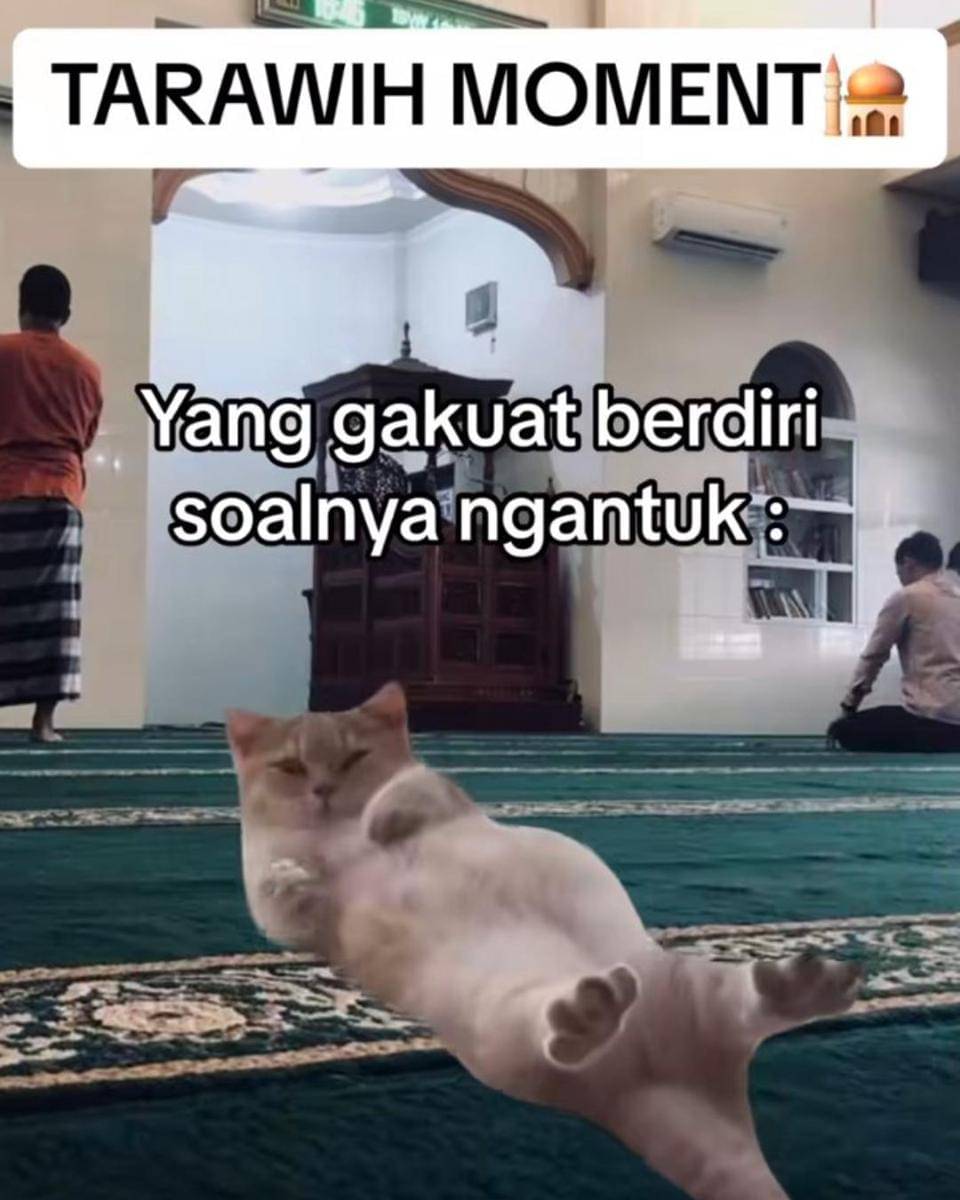 Instagram.com/memekucingofficial